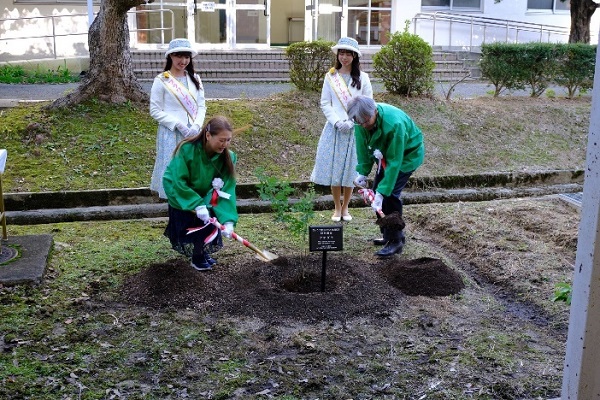 ひょうご里山フェスタ 2024