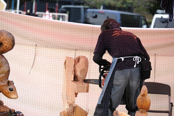 ひょうご里山フェスタ 2025