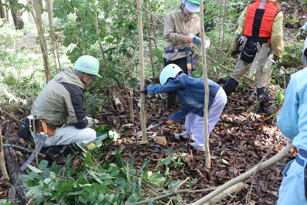 ひょうご里山フェスタ 2025