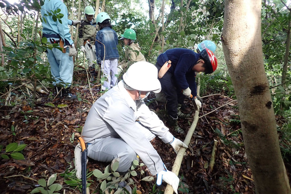 ひょうご里山フェスタ 2025