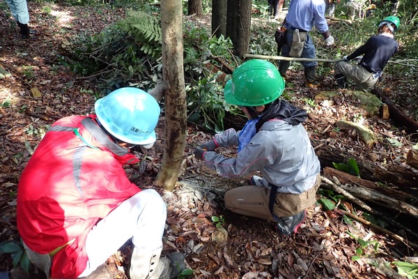 ひょうご里山フェスタ 2025