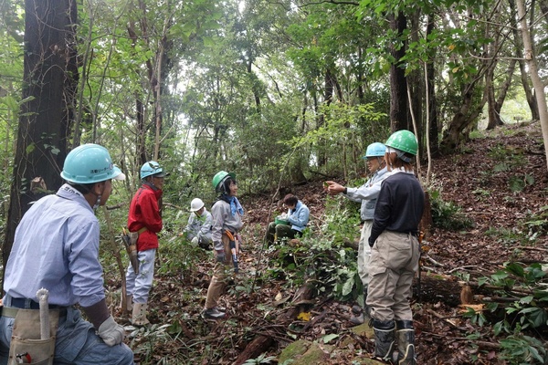 ひょうご里山フェスタ 2025