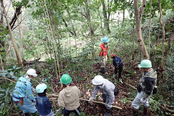 ひょうご里山フェスタ 2025