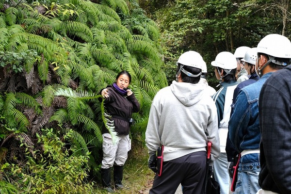 アサヒ飲料明石工場の森