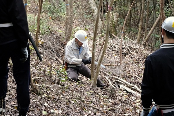 アサヒ飲料明石工場の森