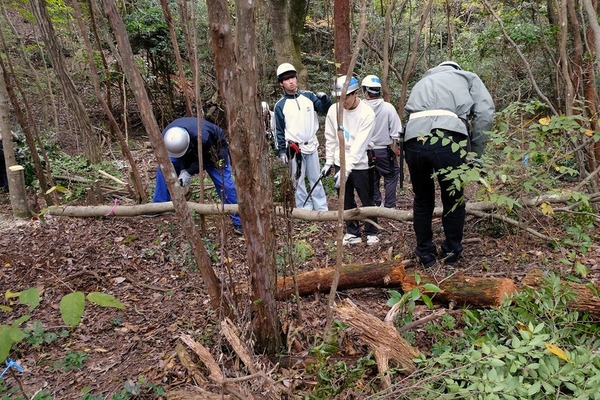 アサヒ飲料明石工場の森