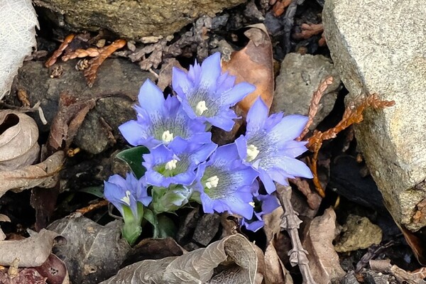 水源の森 たんばささやま