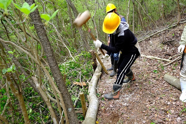 やしろ波光の森