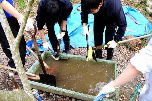 やしろ波光の森