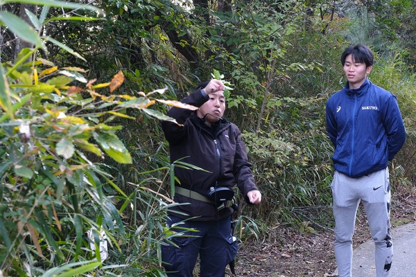 阪急阪神不動産の森