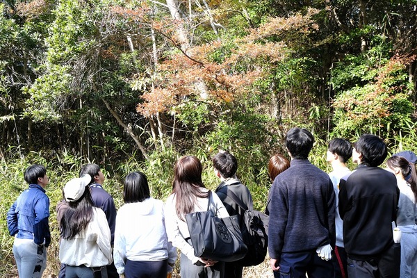 阪急阪神不動産の森