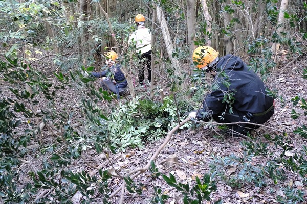 阪急阪神不動産の森