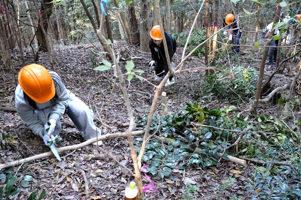阪急阪神不動産の森