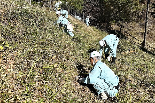 日本海水の森