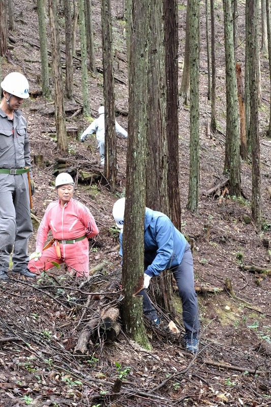 カネカみらいの森づくり