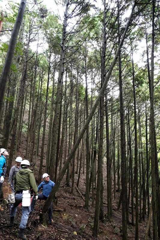 カネカみらいの森づくり