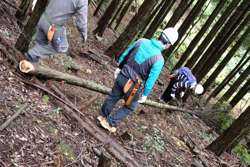 カネカみらいの森づくり