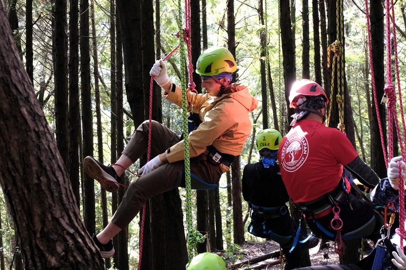 カネカみらいの森づくり
