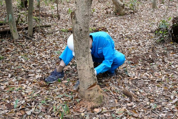 KOBELCOの森