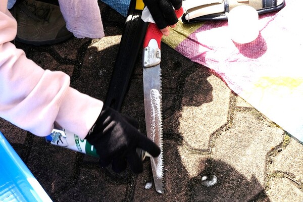 KOBELCOの森