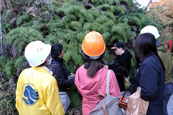 メットライフ生命の森