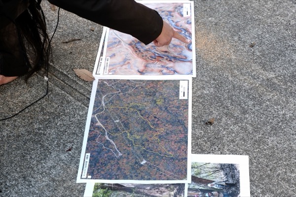 メットライフ生命の森