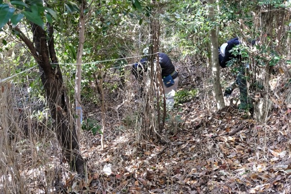 メットライフ生命の森