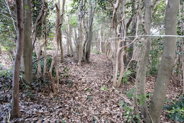 メットライフ生命の森