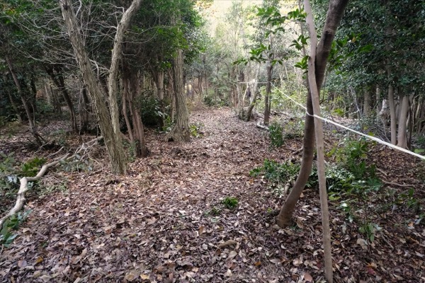 メットライフ生命の森