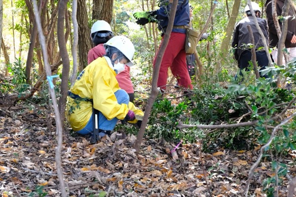 メットライフ生命の森