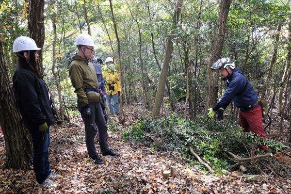 メットライフ生命の森