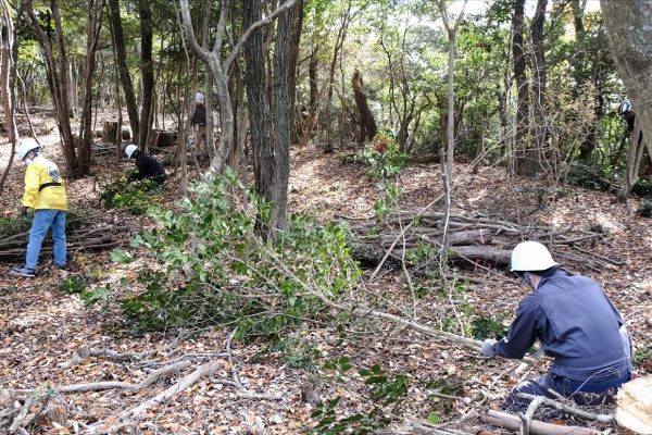 メットライフ生命の森