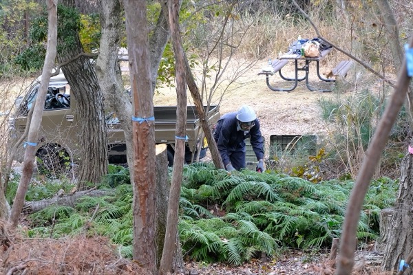 メットライフ生命の森