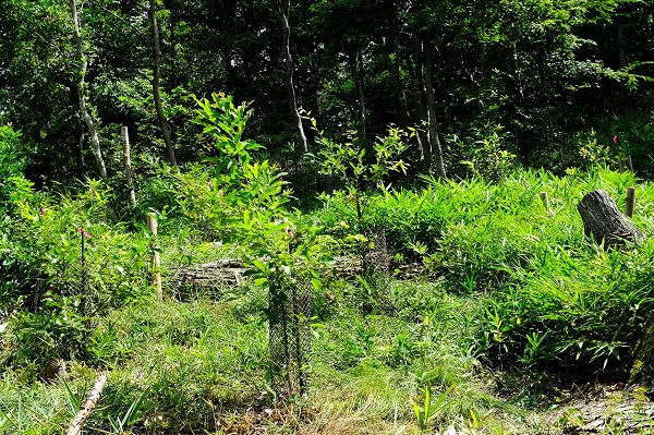 川崎重工なごみの森