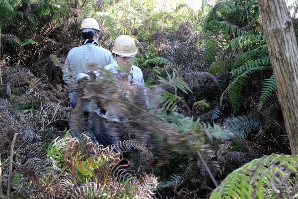 川崎重工なごみの森