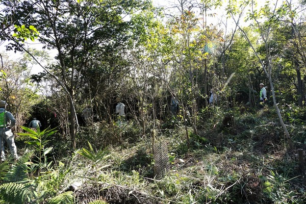 川崎重工なごみの森