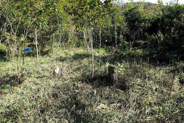 川崎重工なごみの森