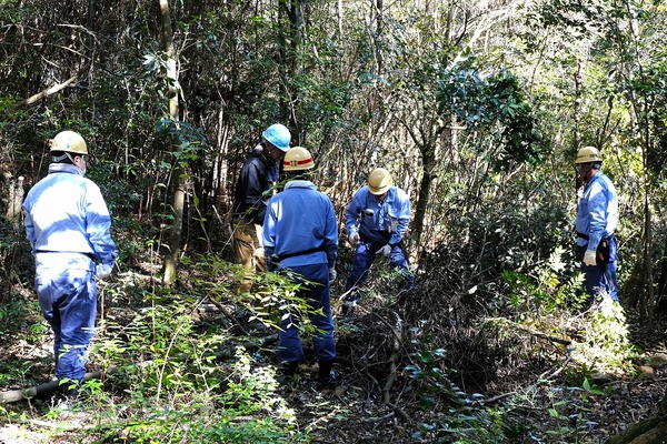 さんとくん 未来の森づくり
