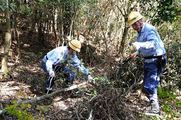 さんとくん 未来の森づくり