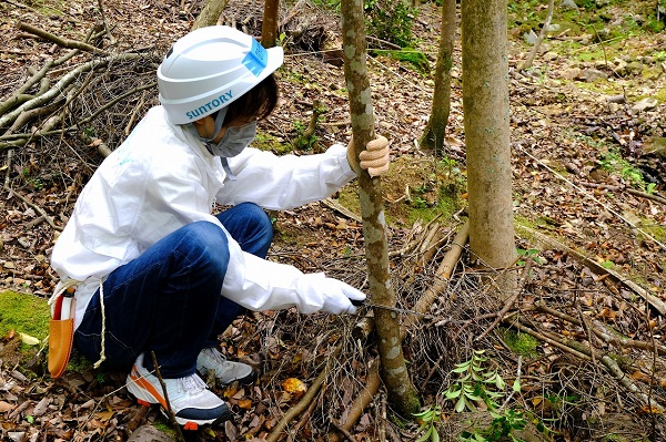 天然水の森 ひょうご西脇門柳山