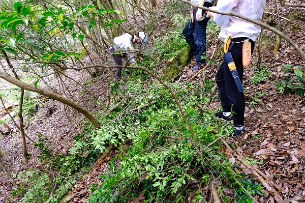 天然水の森 ひょうご西脇門柳山