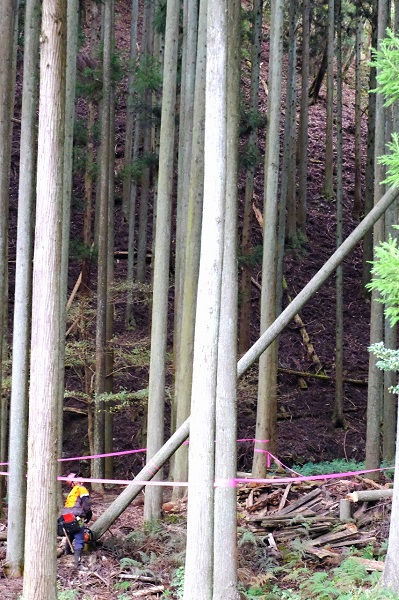 水源の森 たんばささやま