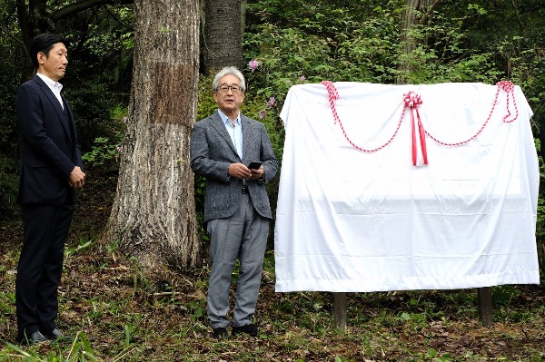 yamatoの森