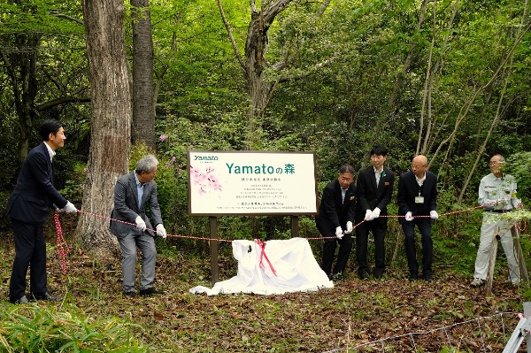 yamatoの森