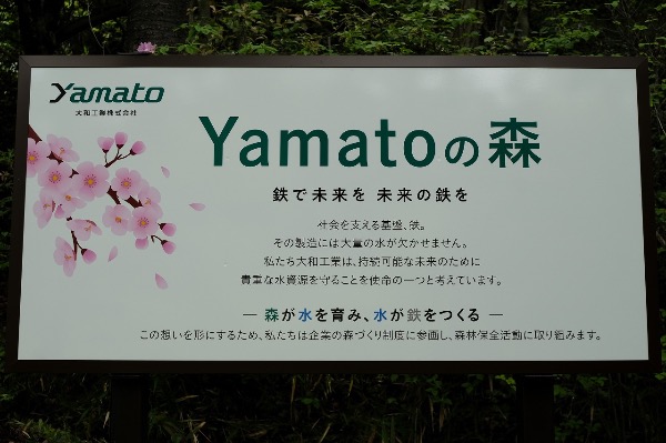 yamatoの森