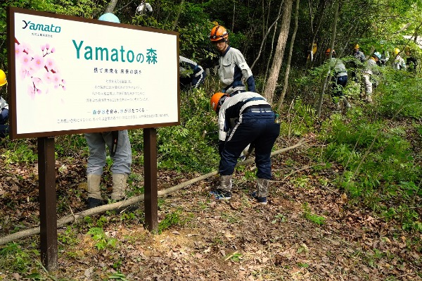 yamatoの森